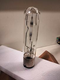 lampadina philips master sdw-t