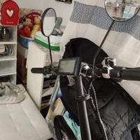 bicicletta elettrica 