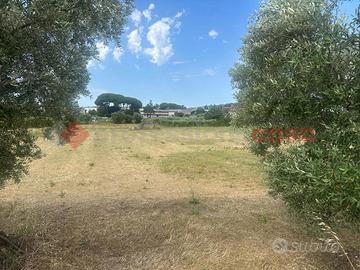 Terreno Agricolo Albano Laziale [837VCG]