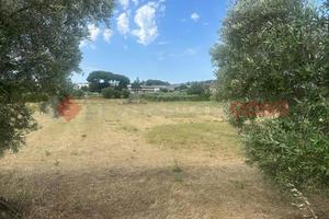 Terreno Agricolo Albano Laziale [837VCG]