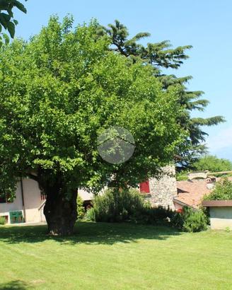 3 LOCALI A CORTE FRANCA