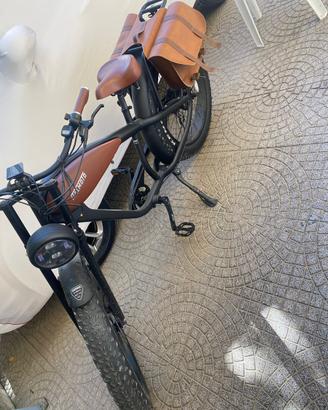 Bici elettrica