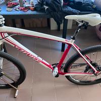 Mountainbike