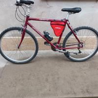 bicicletta mountain bike uomo