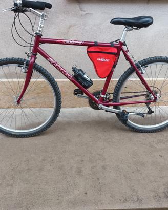 bicicletta mountain bike uomo