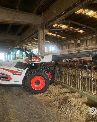 Telescopici BOBCAT agri 3070/4380 - NUOVI