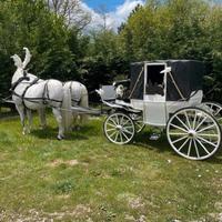 Carrozza