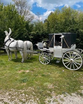 Carrozza