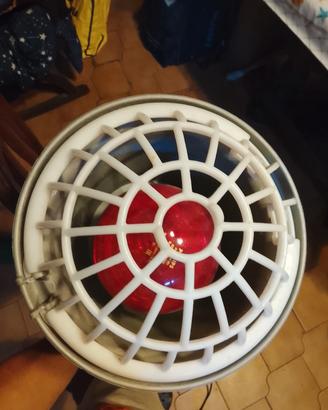 lampada per pulcini 