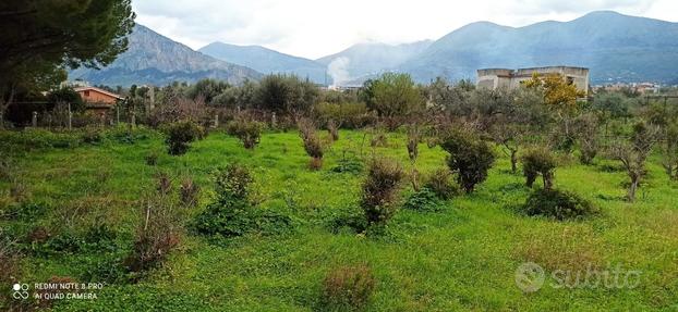 Carini Terreno verde agricolo 1000mq pianeggiante