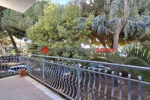 Viale L. Bolano - Luminoso 5 Vani Balconato