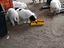 Immagine 3