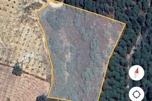 Terreno agricolo località PUCCHIO