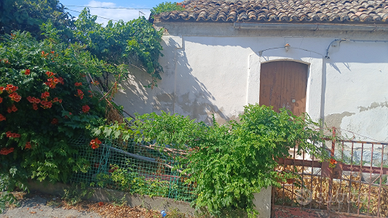 I casetta con giardino da ristrutturare