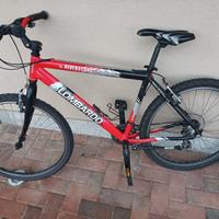 bicicletta