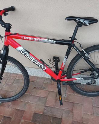 bicicletta