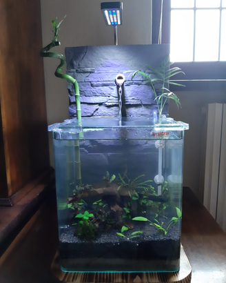 Acquario 20 L