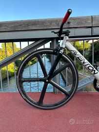 AVENTON MATARO_POLISHED