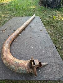 Cigno, Collo d’oca