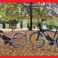 E-BIKE CRUISER 26"MOTORE CENTRALE BATTERIA 720W