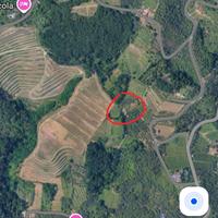 Terreno agricolo vigneto e uliveto