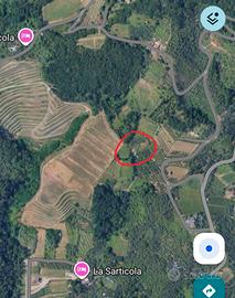 Terreno agricolo vigneto e uliveto