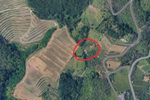 Terreno agricolo vigneto e uliveto