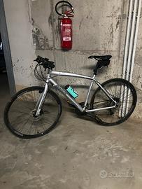 Bianchi Camaleonte