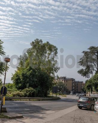 Torrione alto- ampio pentalocale