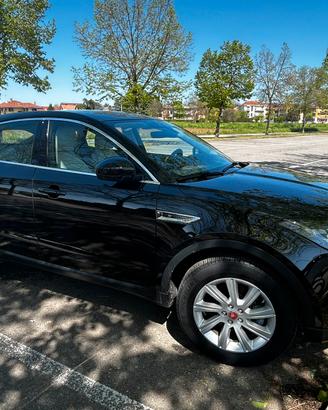 JAGUAR E PEACE