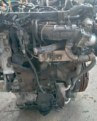Motore d4ha d4hb dal 2013 disponibile motori 2.0 d