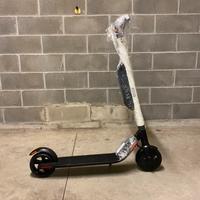 Segway ES4 Professional +doppia Batteria NUOVO