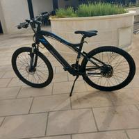 Bicicletta elettrica Mountain Bike F.lli Schiano