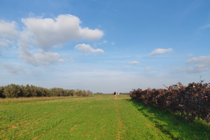 Terreno agricolo a San Pietro Vernotico