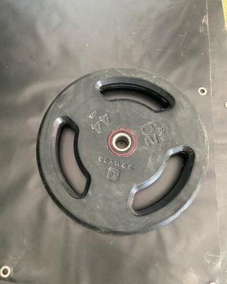 Set 4 dischi 20kg domyos