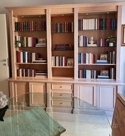 Deliziosa libreria con illuminazione interna