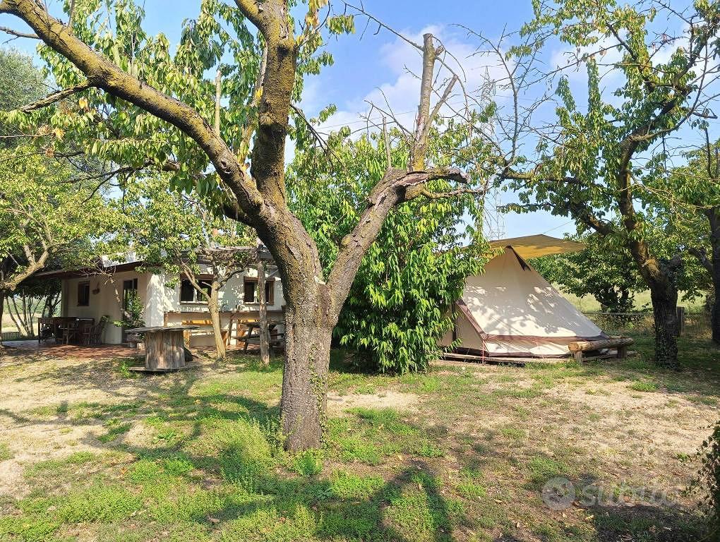 Terreno di 3276 m² a Pecetto Torinese - Vista 3