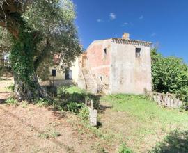 RUSTICO A TORREVECCHIA TEATINA
