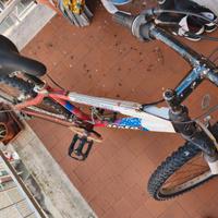 Bicicletta atala ragazzo