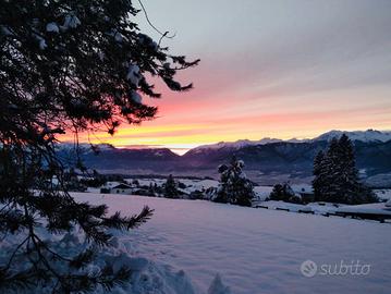 PISOLO COTTAGE Ronzone alta Val di Non Trentino