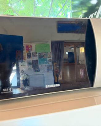 Forno a microonde Samsung TDS