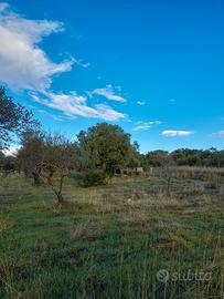 Terreno agricolo