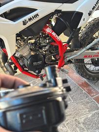 Beta rr 50 anno 2021