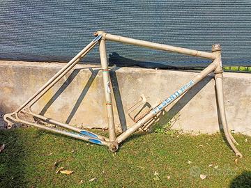 Telaio bicicletta corsa Pesenti sprint