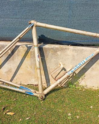 Telaio bicicletta corsa Pesenti sprint