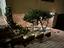 Immagine 6