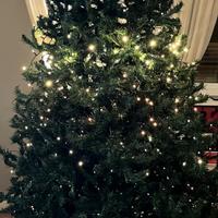 Albero di natale h 210