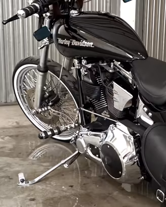 Vondo moto harley davidson