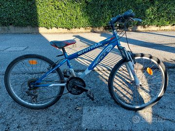 bicicletta mtb ragazzino cerchi 24