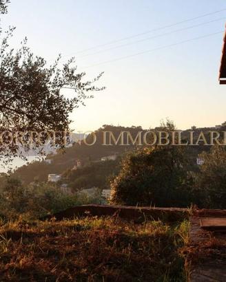 Villa di 4127 m² con più di 5 locali e box auto a 